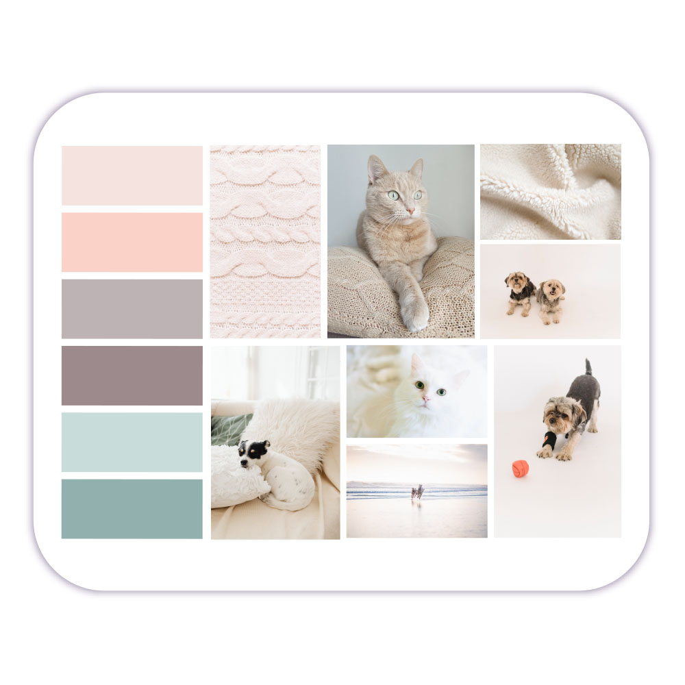 une-vie-de-pachat-portfolio-leah-creative