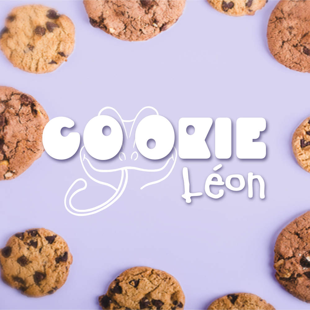 Portfolio - cookie leon 2