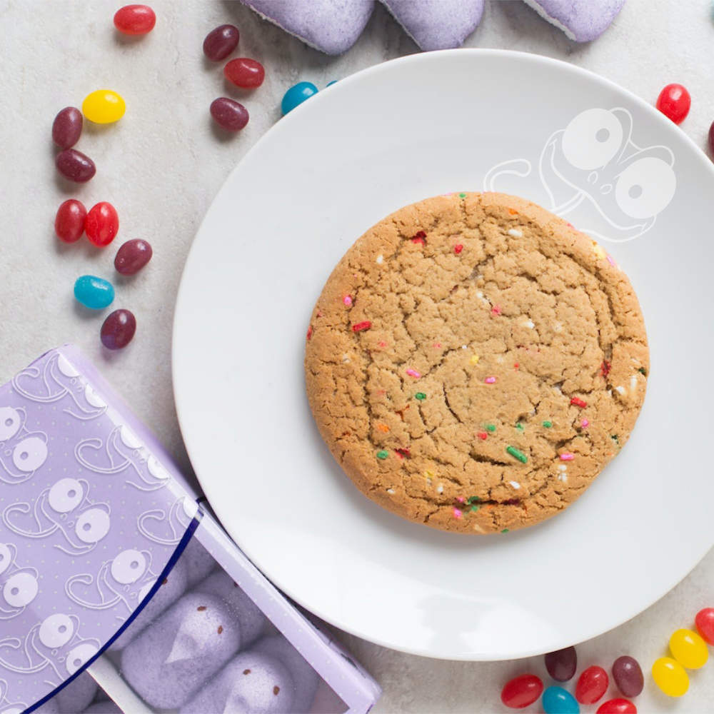 Portfolio - cookie leon 3