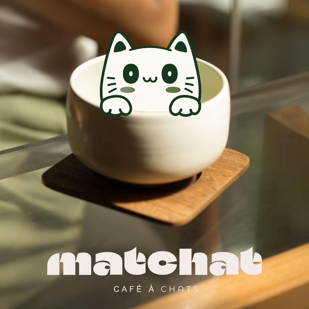 Portfolio - matchat 2